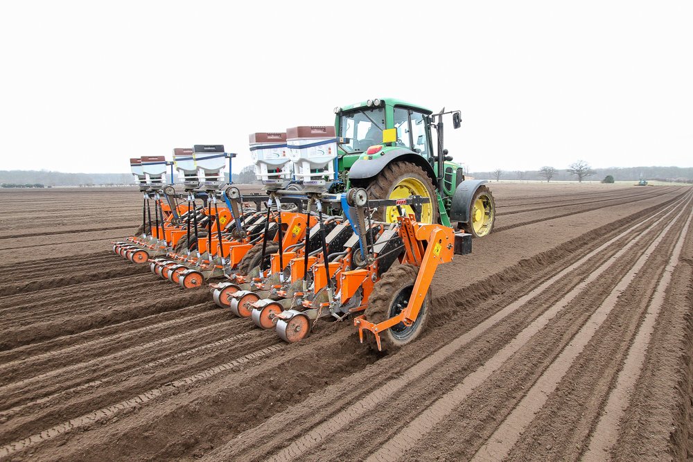 Horstine Microband 2-